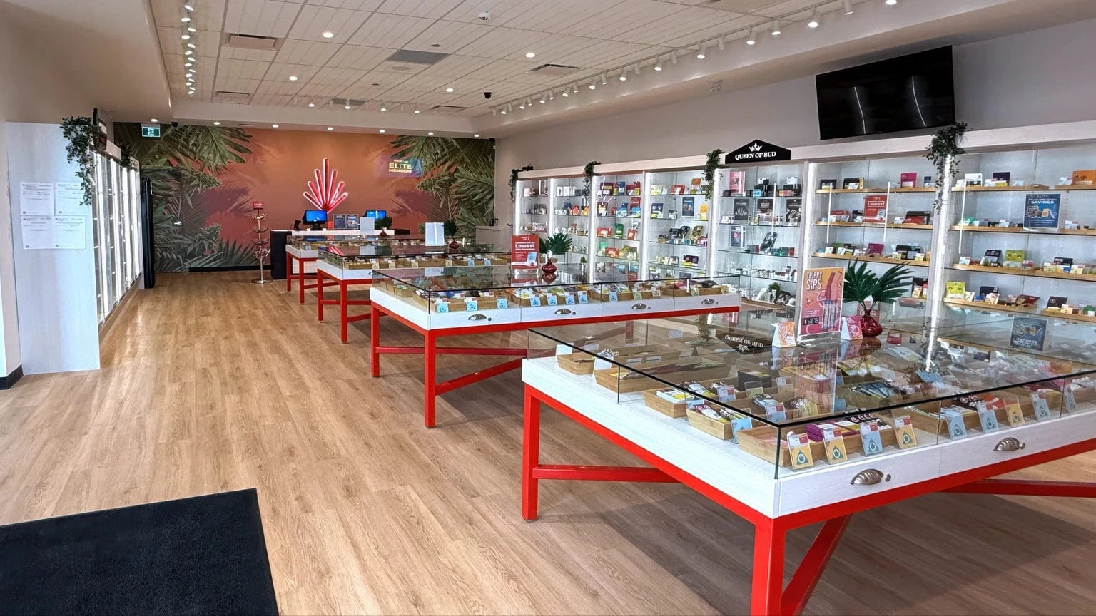 Ninth Street Cannabis Store 