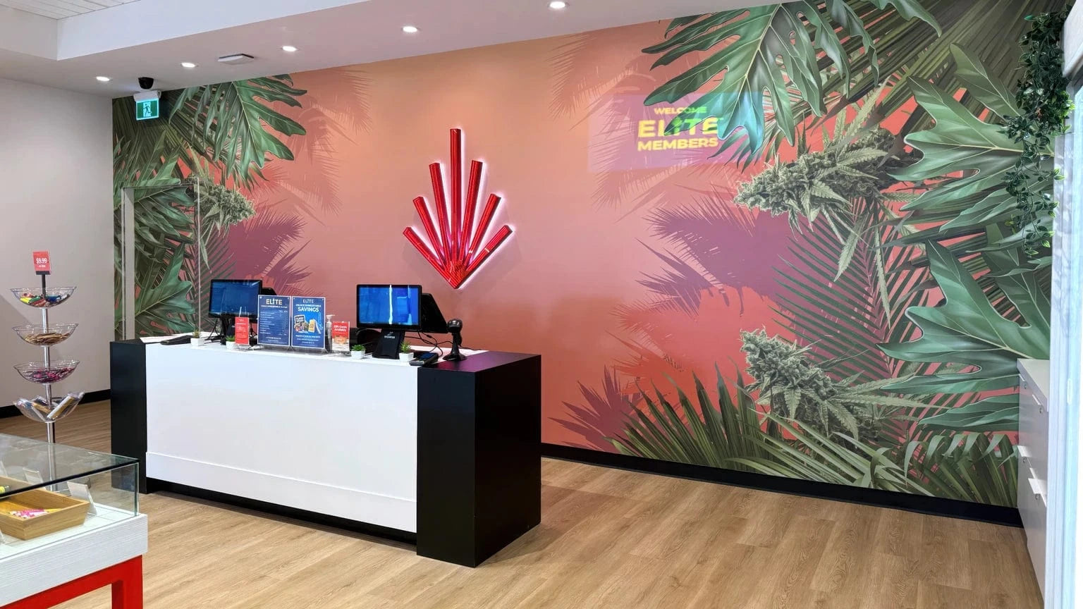 Ninth Street Cannabis Store 