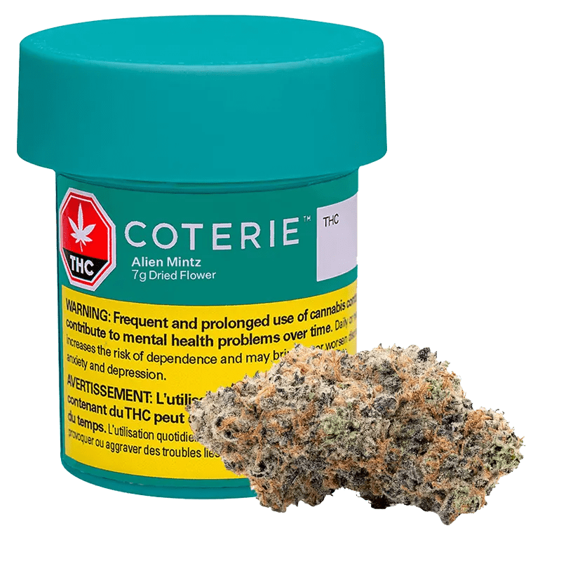 Coterie 7g Dried Flower