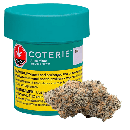 Coterie 7g Dried Flower