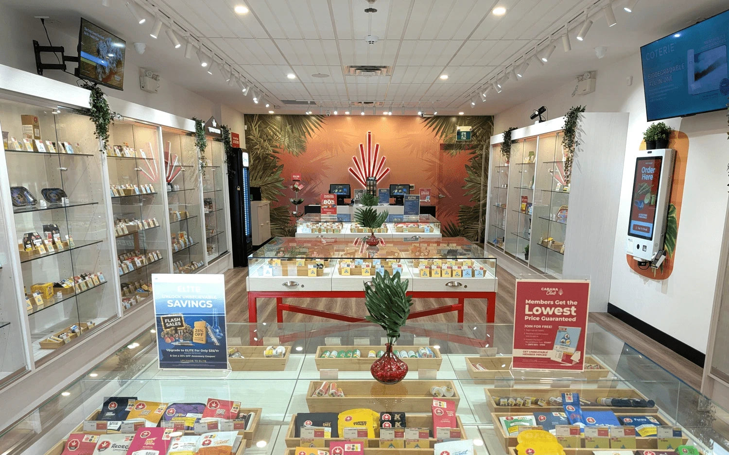 Main St. Hamilton Cannabis Store 