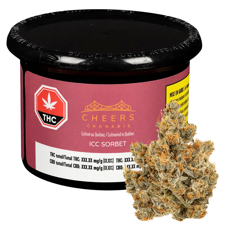 Cheers Cannabis 7 g Whole flower