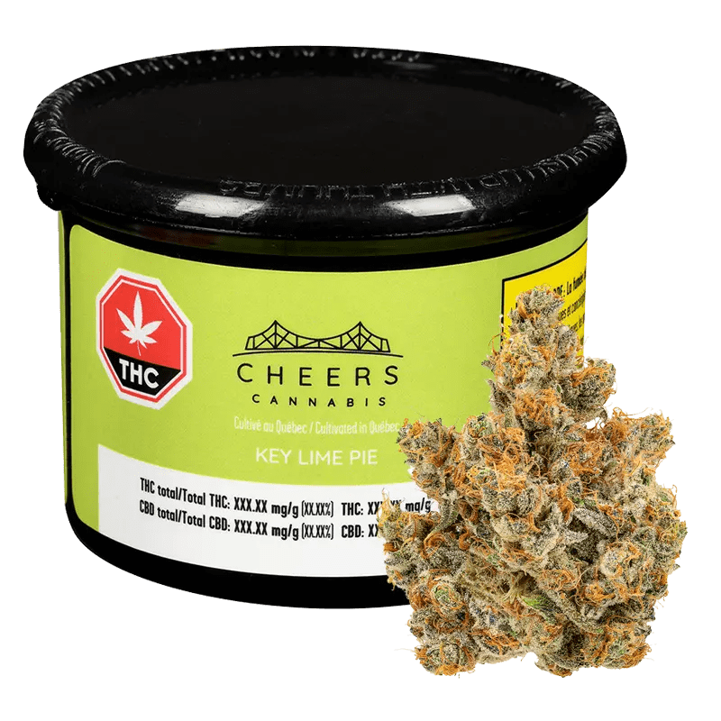 Cheers Cannabis 7 g Whole flower