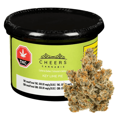 Cheers Cannabis 7 g Whole flower