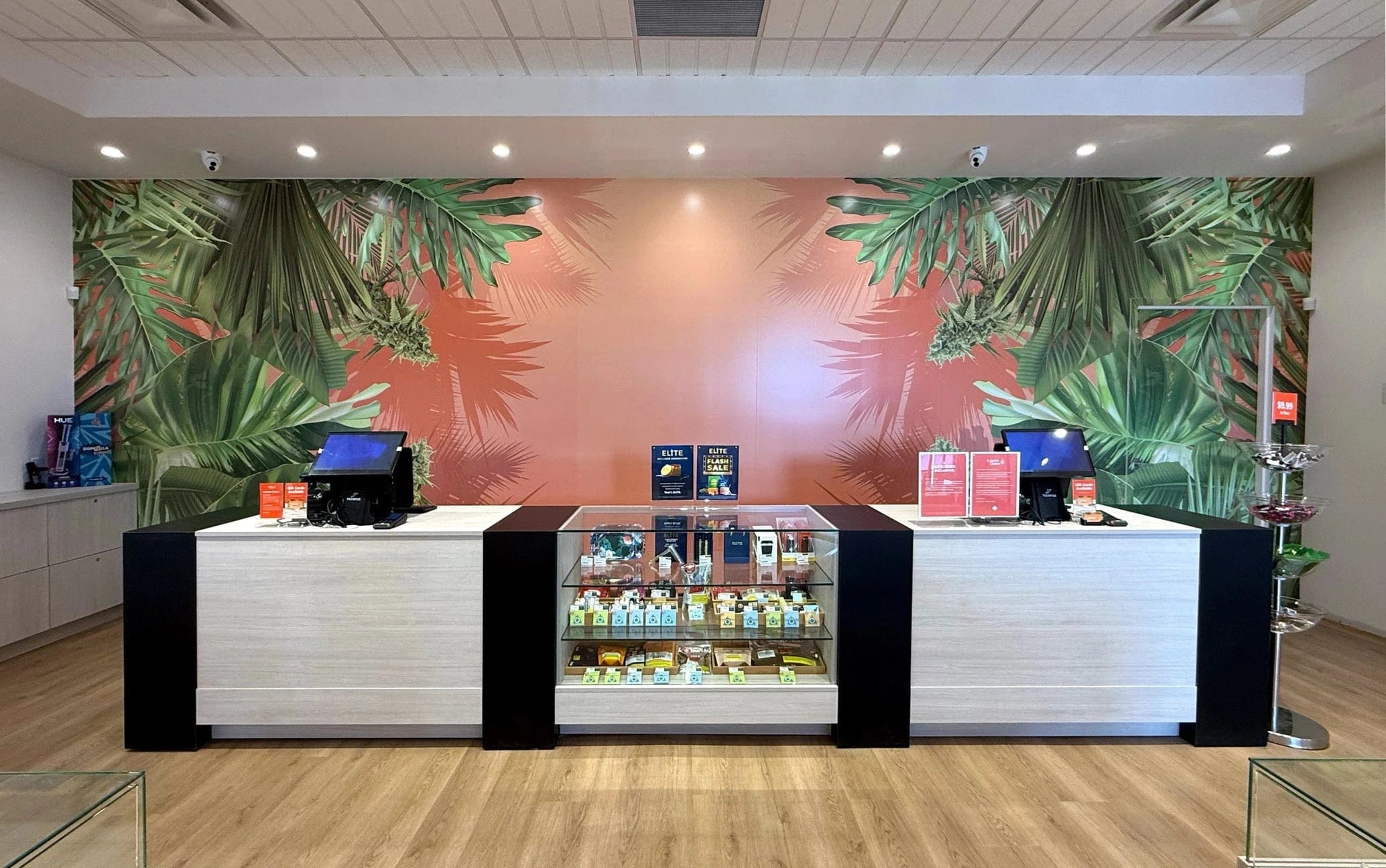 Cambridge Cannabis Store 