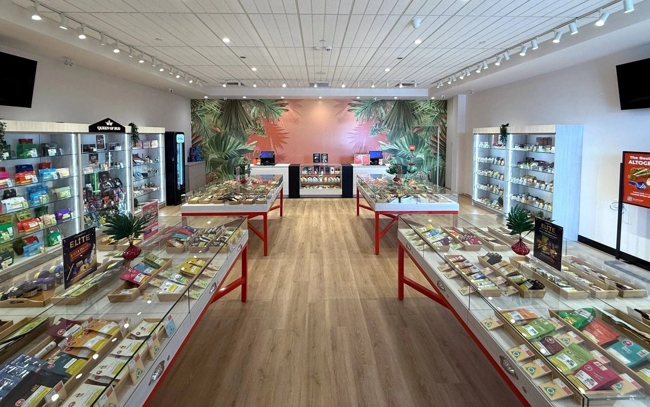 Cambridge Cannabis Store 