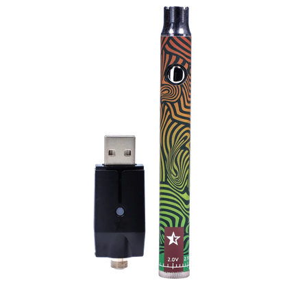 Vertical close-up of the Famous Design Lit Sticc VV Battery - Mixed Design showing its swirling orange-to-green pattern and an adjacent USB charger.