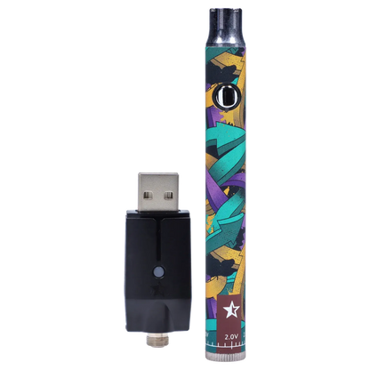 Vertical front view of the Famous Design Lit Sticc VV Battery - Mixed Design showing its colorful graffiti-style pattern and adjacent black USB charger.