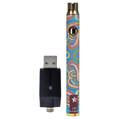 Close-up front view of the Famous Design Lit Sticc VV Battery - Mixed Design standing upright beside its black USB charger, showing the colorful swirling pattern and gold button.
