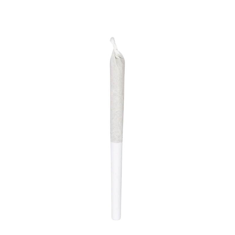 Front view of the Inzane In The Membrane Pre Rolled 14 x 0.5 g joint, a slender, white roll with a visible filter tip.