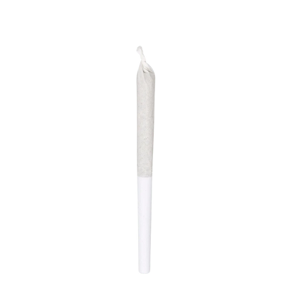 Front view of the Inzane In The Membrane Pre Rolled 14 x 0.5 g joint, a slender, white roll with a visible filter tip.