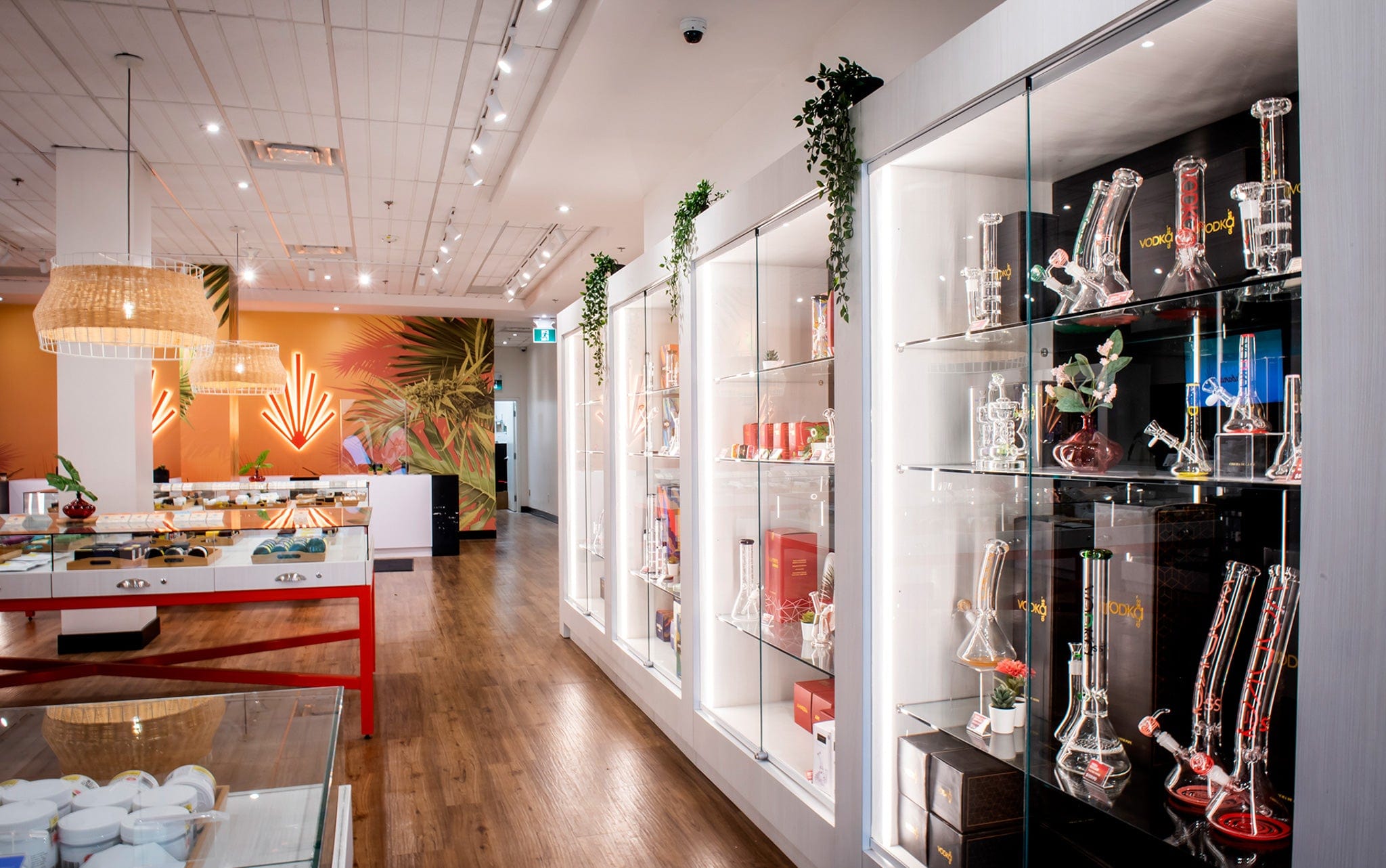 Toronto – Parliament Cannabis Store 