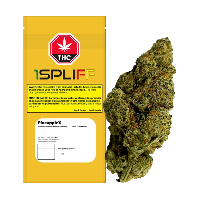 Studio-lit front view of the PineappleX packaging and a single dense green bud displayed side-by-side on a white background.