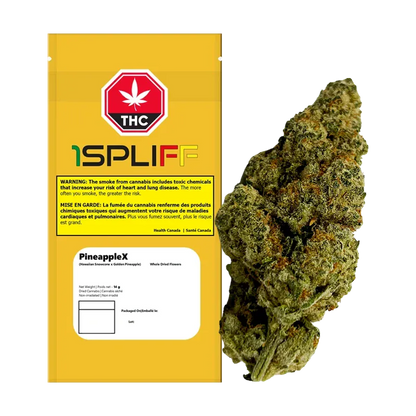 Studio-lit front view of the PineappleX packaging and a single dense green bud displayed side-by-side on a white background.
