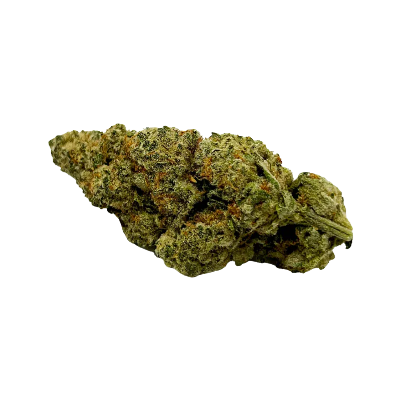 Close-up side view of a single green and orange trichome-covered Mmmosa Evo 14g Dried Flower bud on a white background.