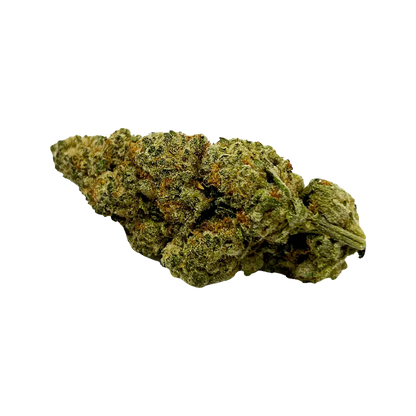Close-up side view of a single green and orange trichome-covered Mmmosa Evo 14g Dried Flower bud on a white background.