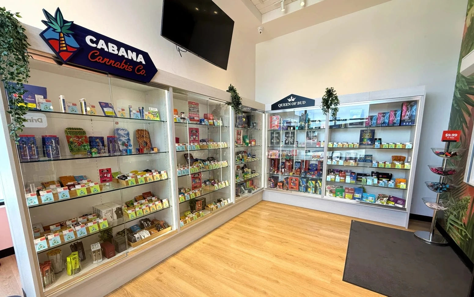 Sunfish Cannabis Store 