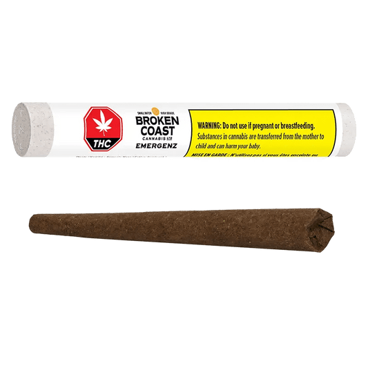 Broken Coast 1 g Blunts