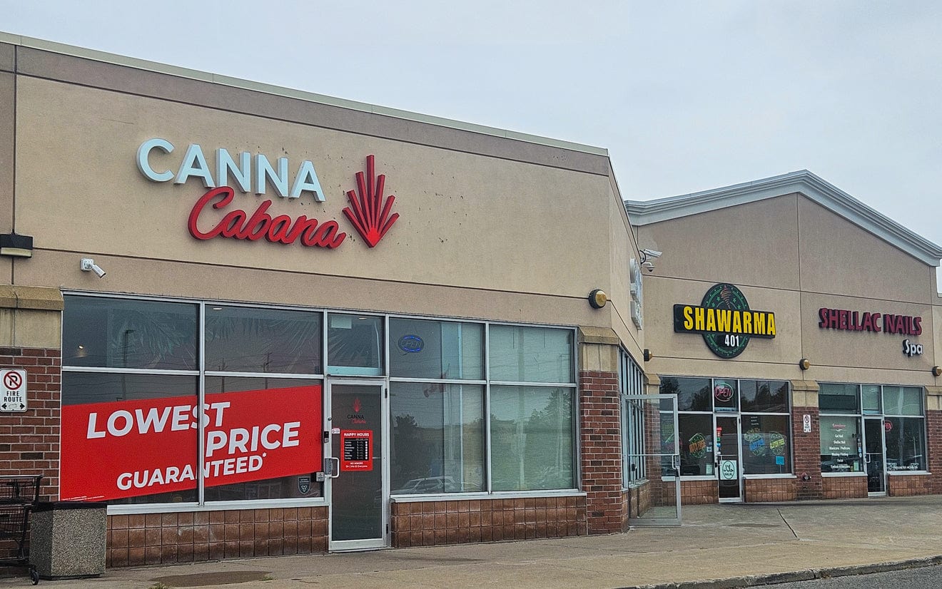 Taunton & Wilson Cannabis Store 