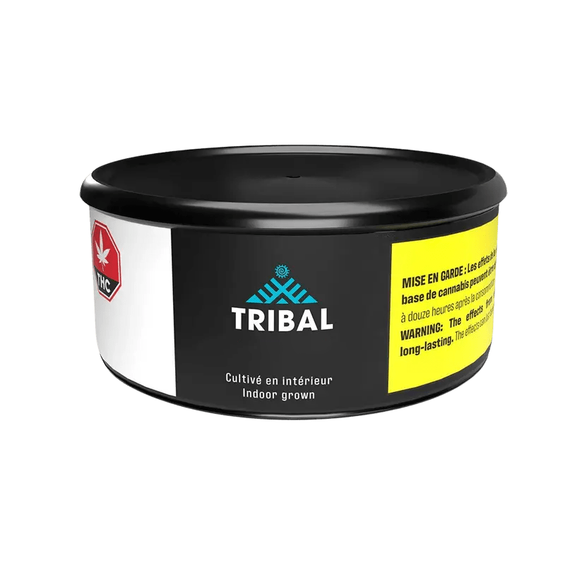 Tribal 1 g Resin