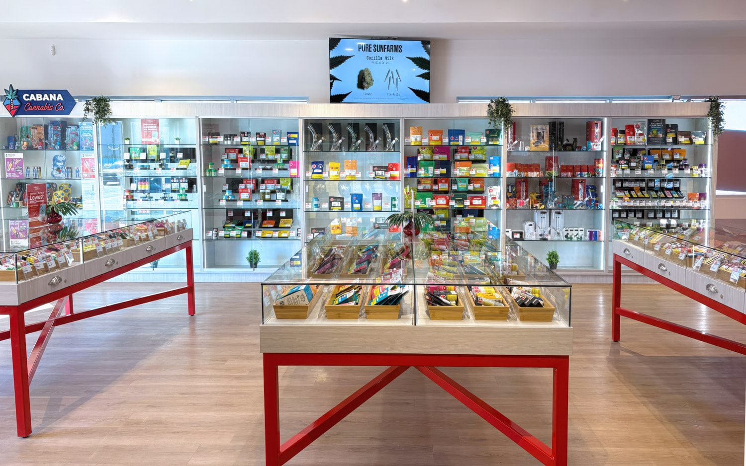 Haxton Cannabis Store 