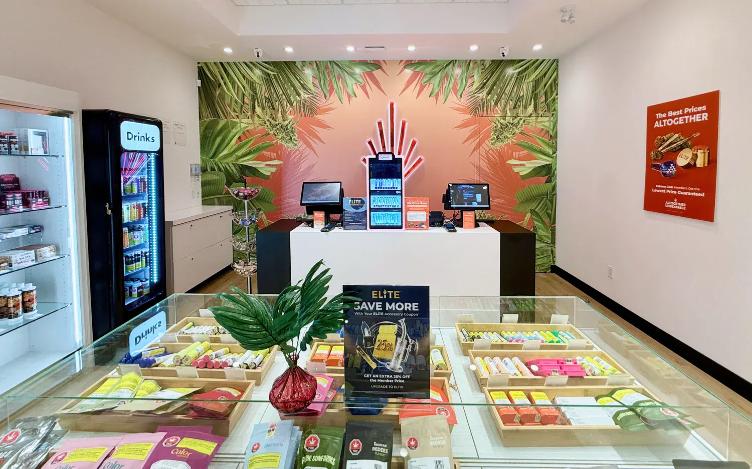 Titan Cannabis Store 