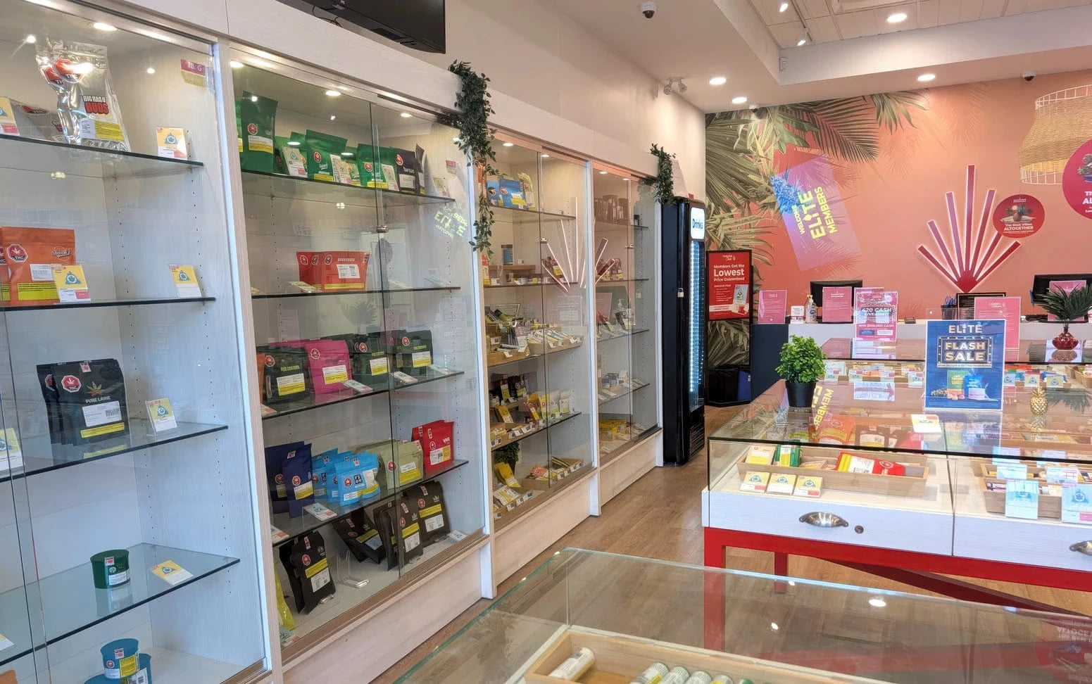 Buffalo Run Cannabis Store 