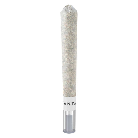 Horchata ULTRA MAX Glass Tip Infused PR 1 x 1 g
