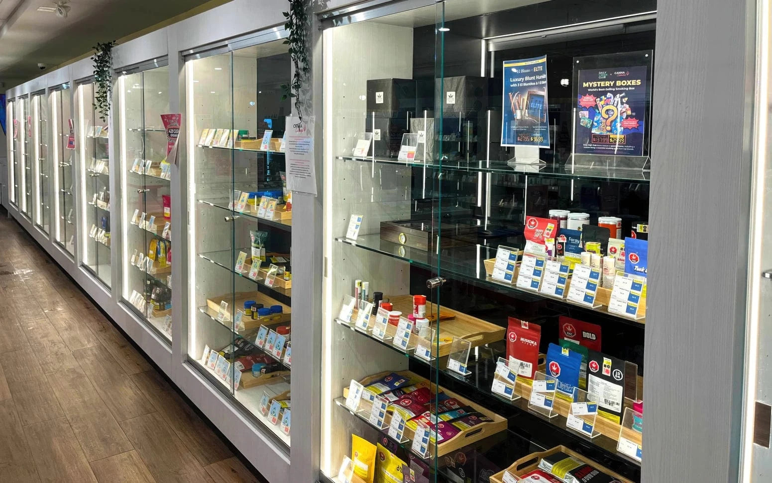 Ottawa – Rideau Cannabis Store 