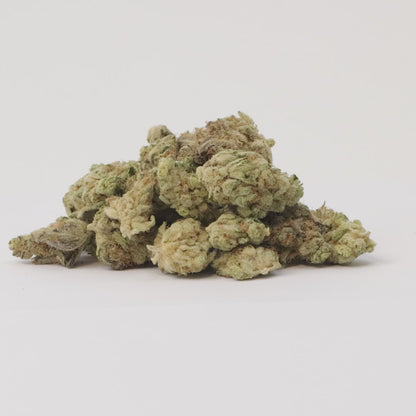 Zombie Breath