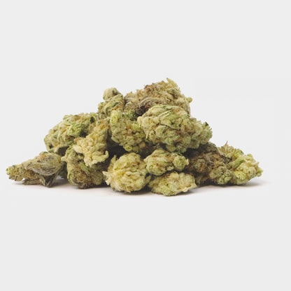 Zombie Breath