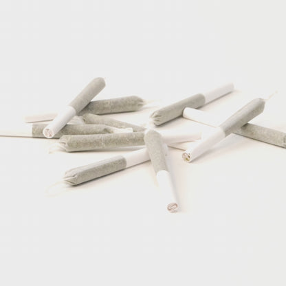 Quickies - Chemsicle PR 10 x 0.35 g