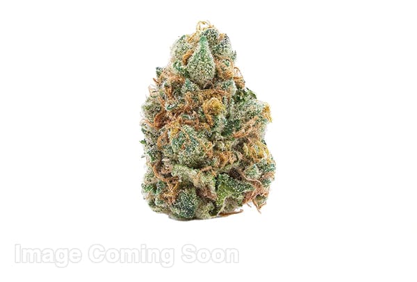 First Choice Cannabis 3.5g Flower