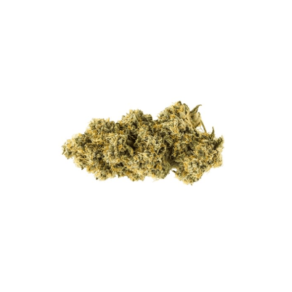 Blunt PR 1 x 1 g — Canna Cabana