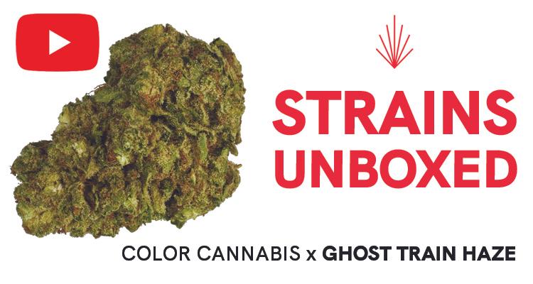 Color Cannabis Ghost Train Haze