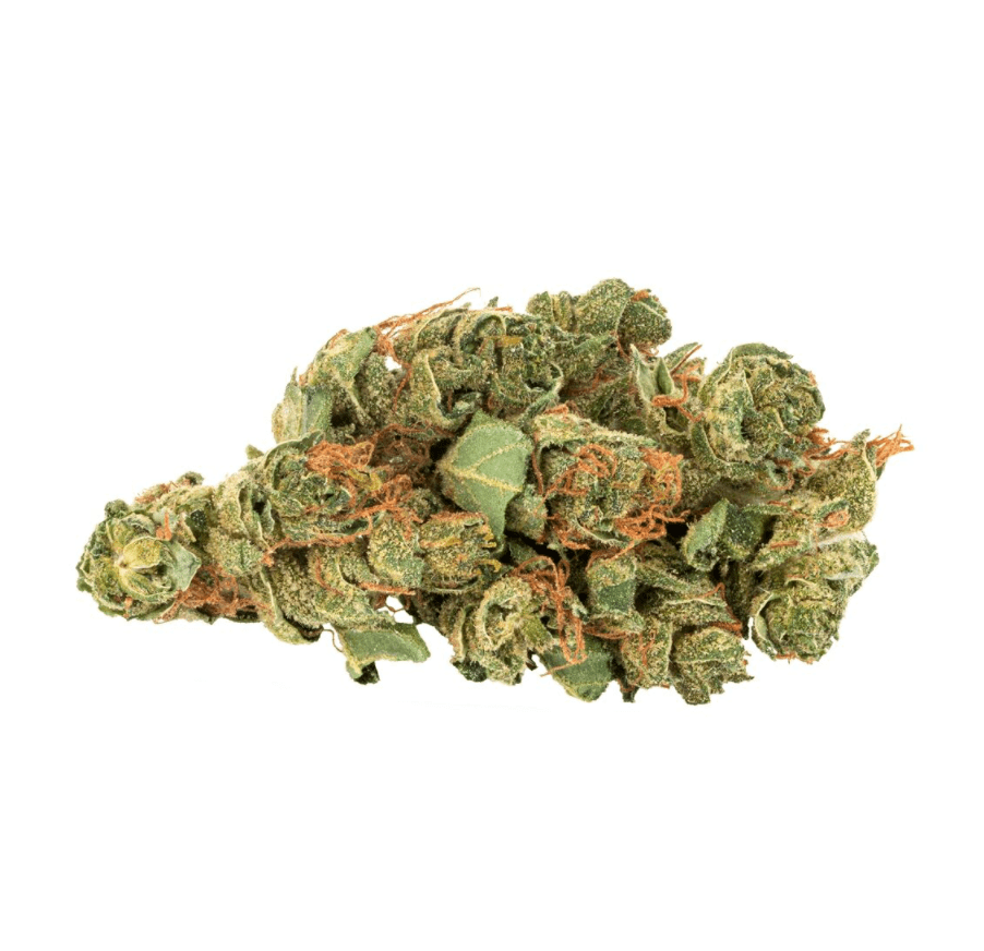 Daily Special 14g Sativa Flower